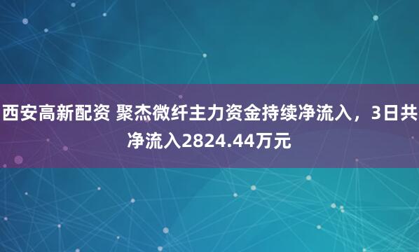 西安高新配资 聚杰微纤主力资金持续净流入，3日共净流入2824.44万元